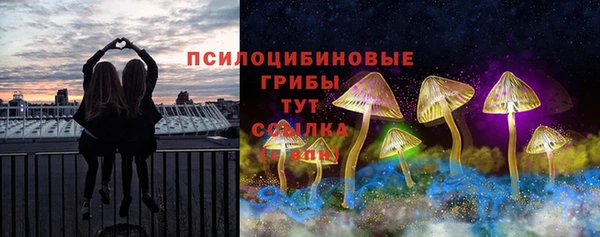 МДПВ Зеленодольск